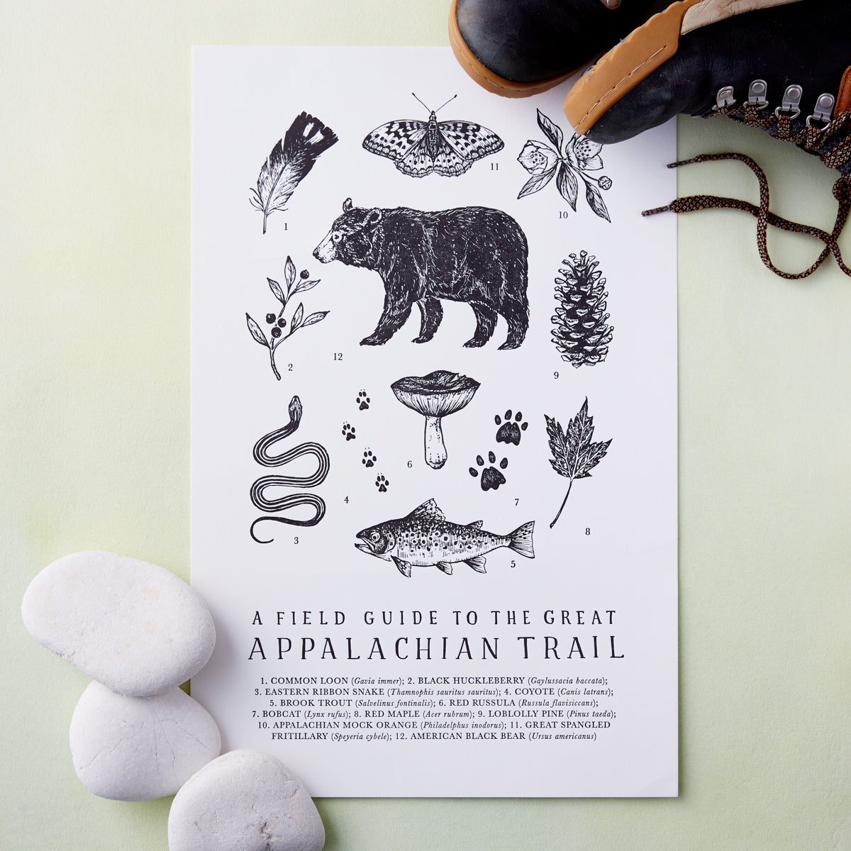 Appalachian Trail Field Guide Print North Carolina Wall Art Our