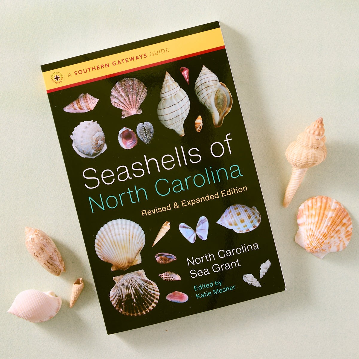 Seashells of North Carolina Book