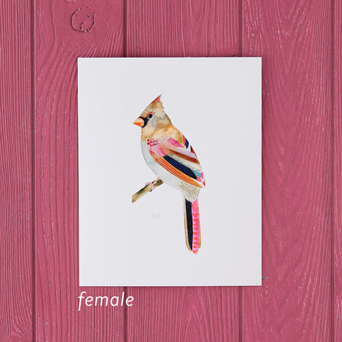 Cardinal Art Print