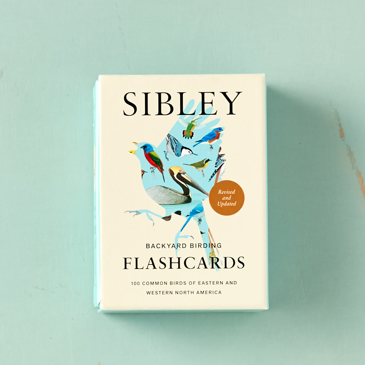 Backyard Birding Flashcards