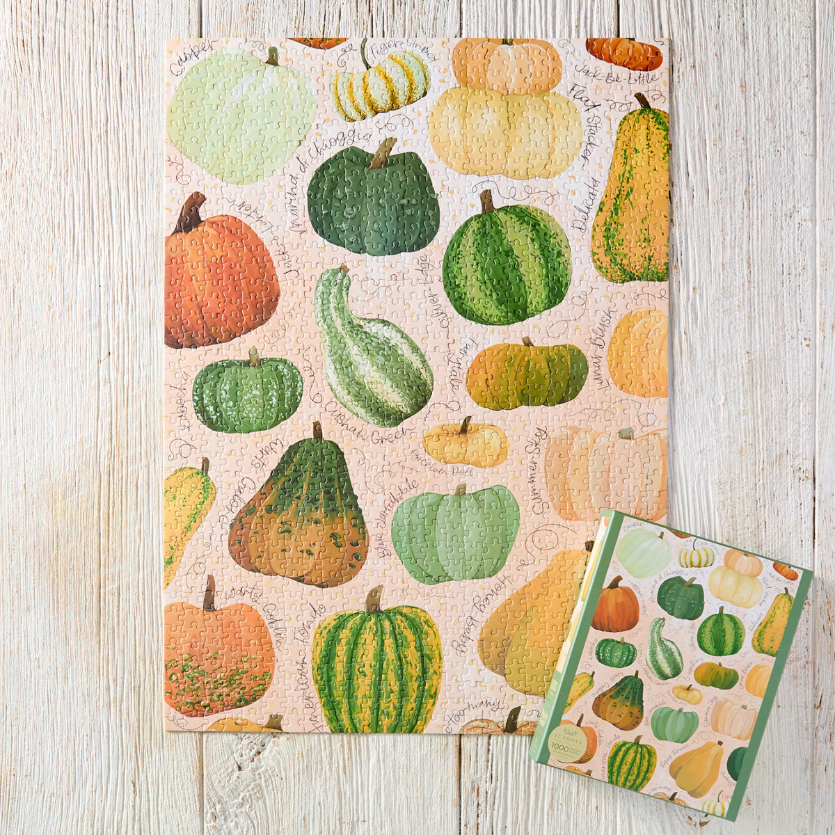 Pumpkins & Gourds Jigsaw Puzzle
