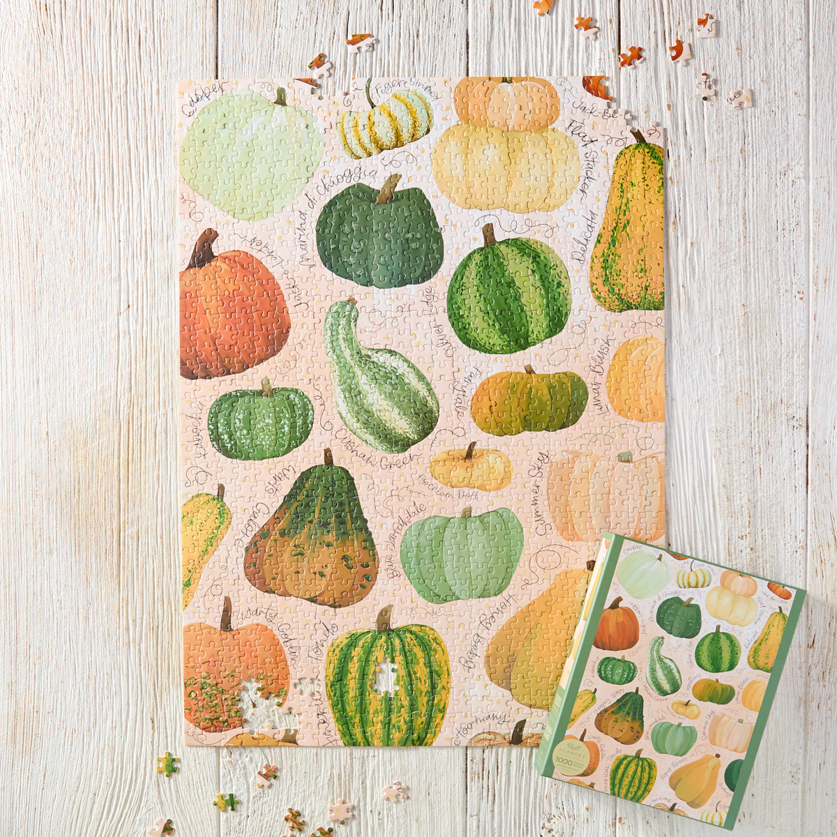 Pumpkins & Gourds Jigsaw Puzzle