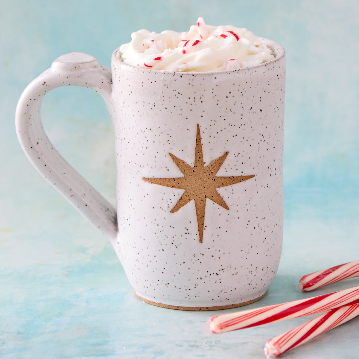 White Moravian Star Pottery Mug