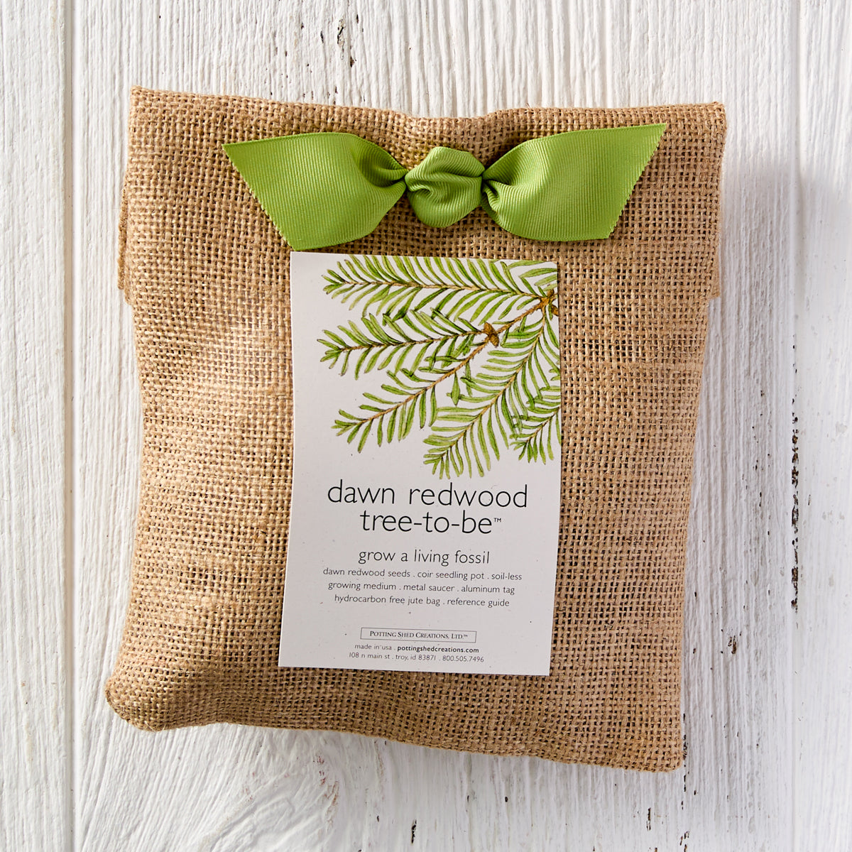 Dawn Redwood Grow Kit