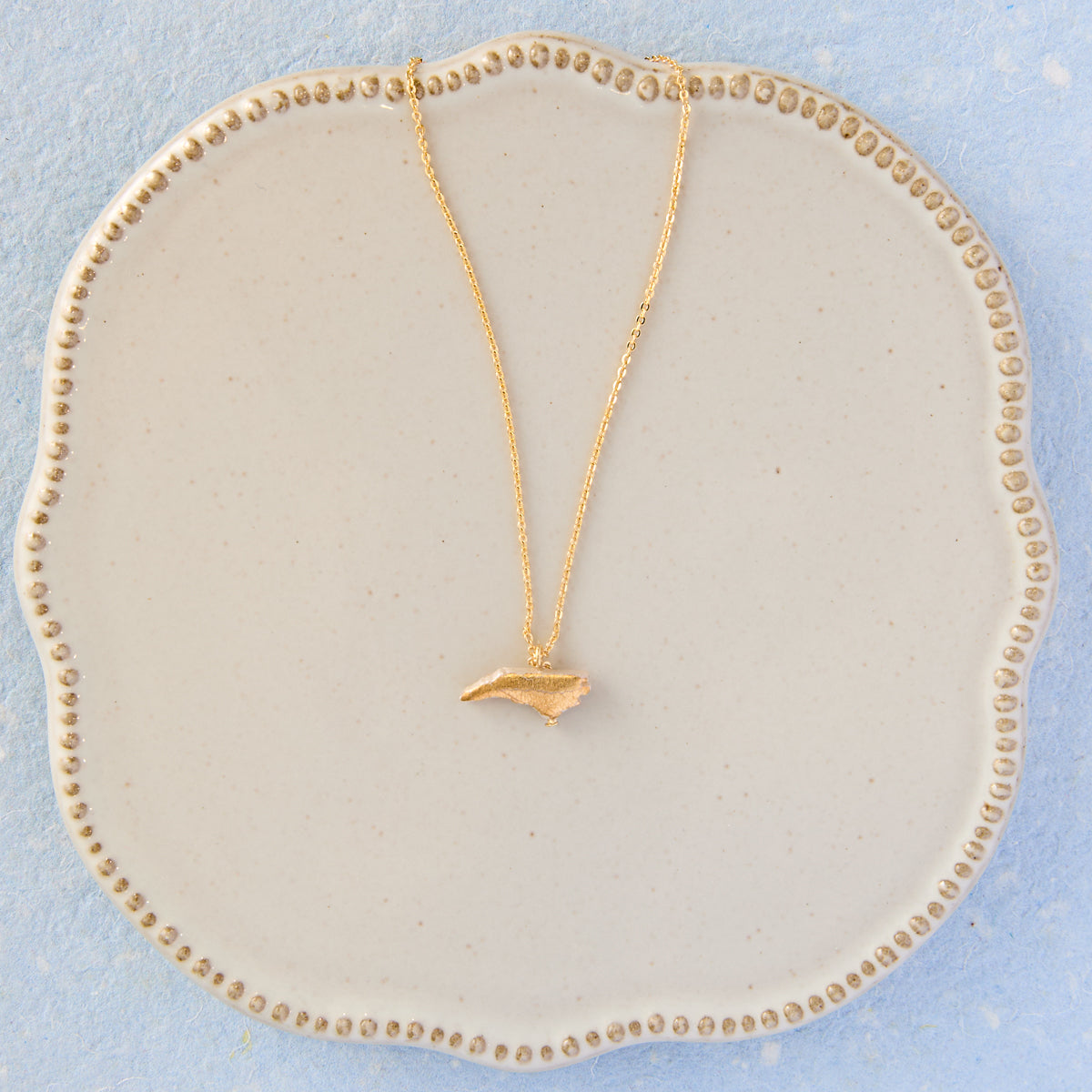 Dainty NC Necklace