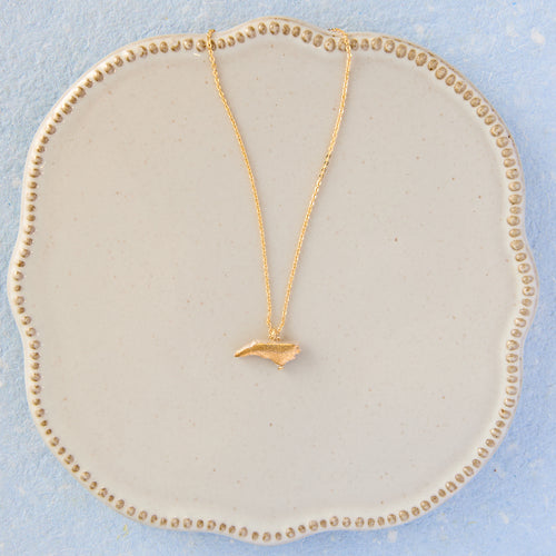 Dainty NC Necklace