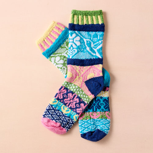 Hummingbird Socks