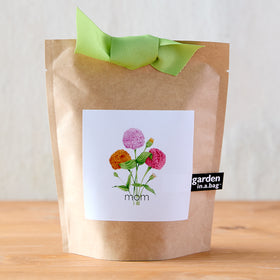 Zinnia Grow Kit