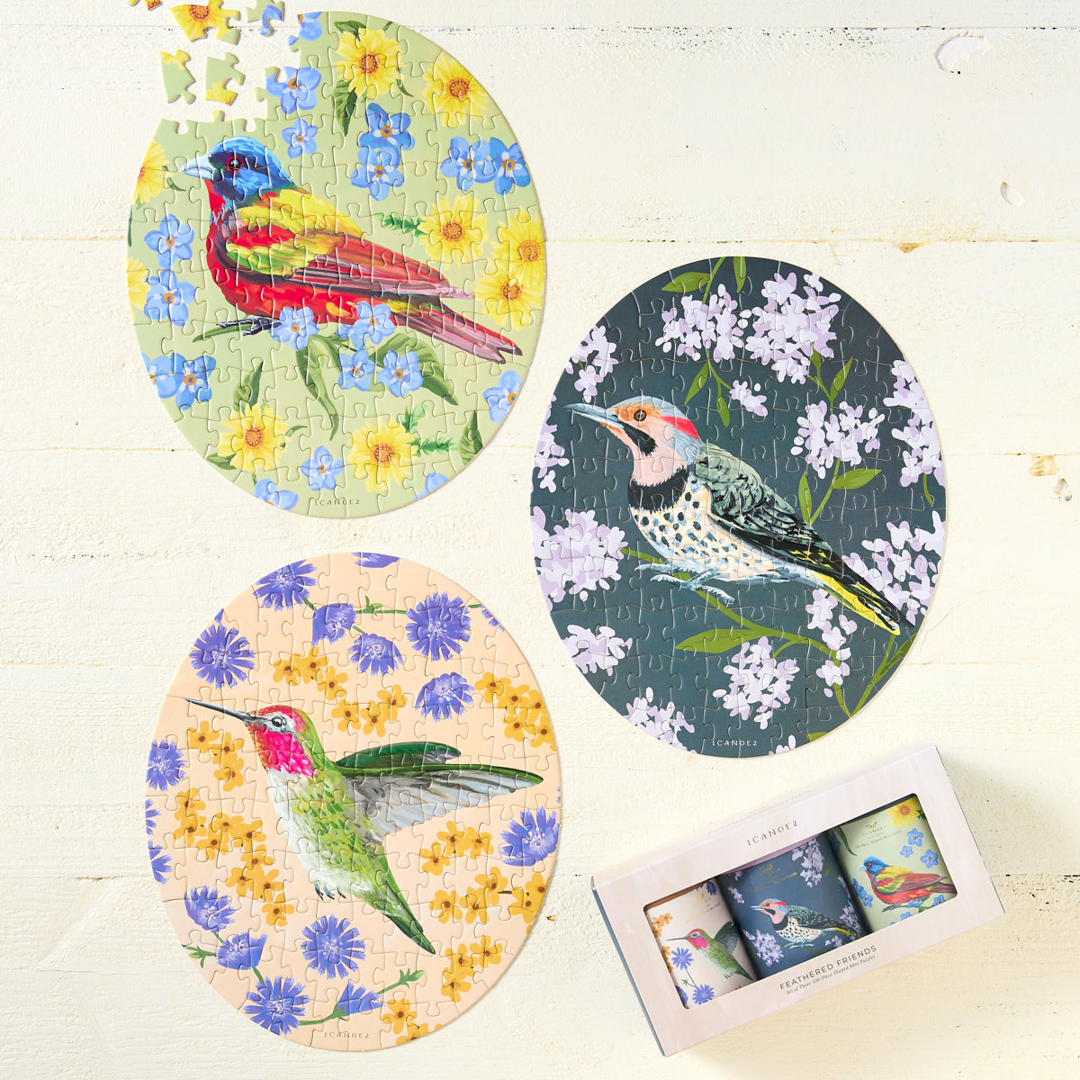 Feathered Friends Mini Puzzle Set