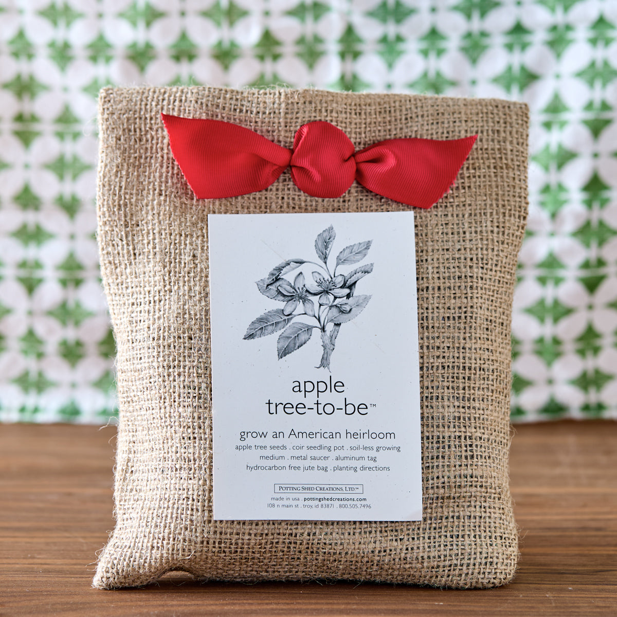 Apple Tree Grow Kit