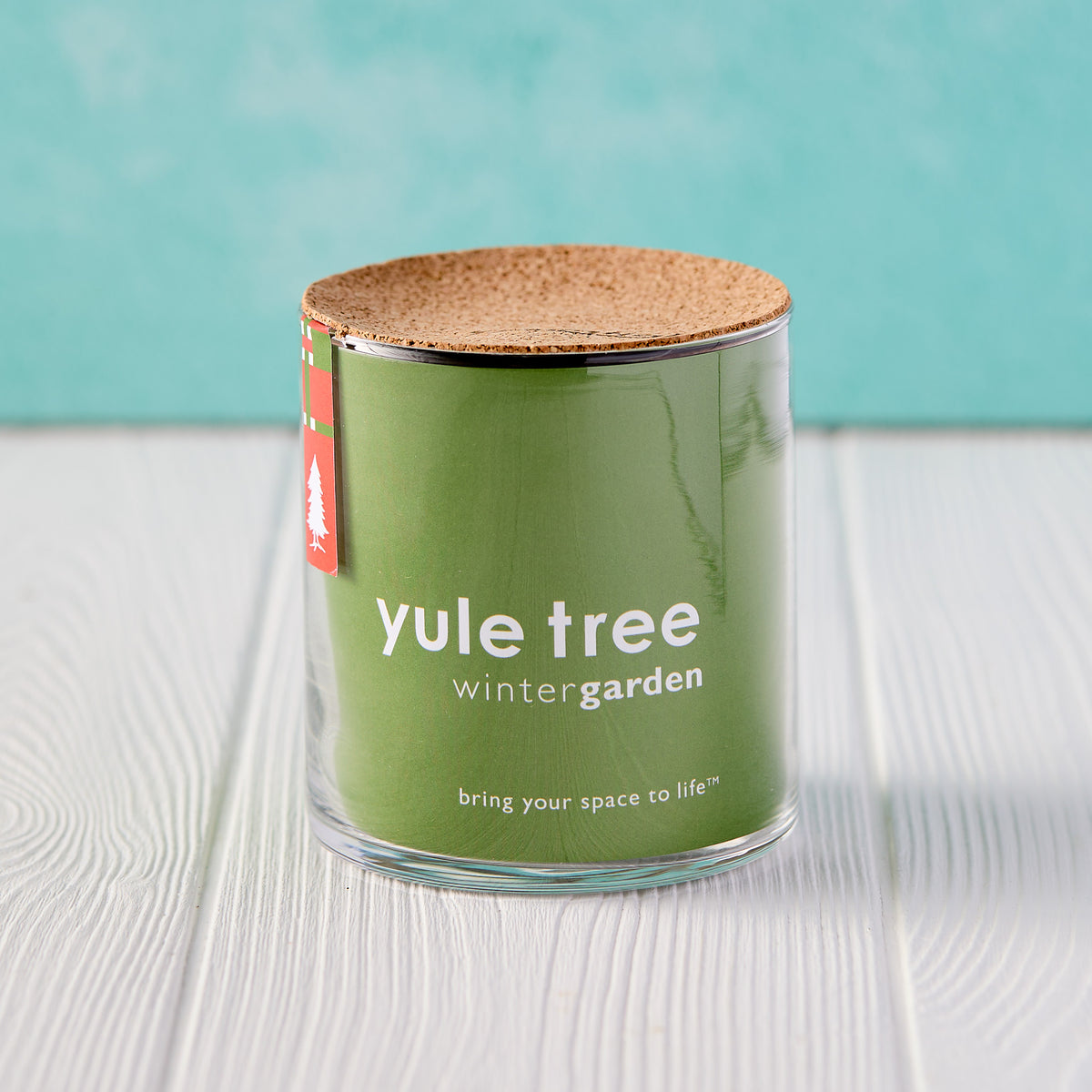 Yule Tree Winter Garden Kit