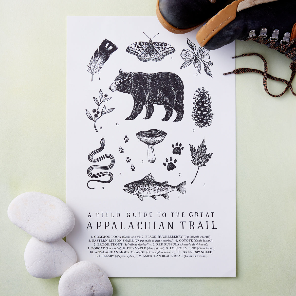 Appalachian Trail Field Guide Print