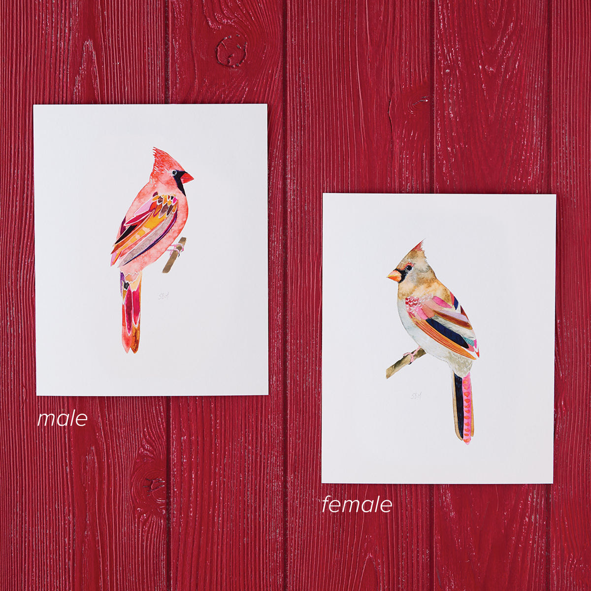 Cardinal Art Prints