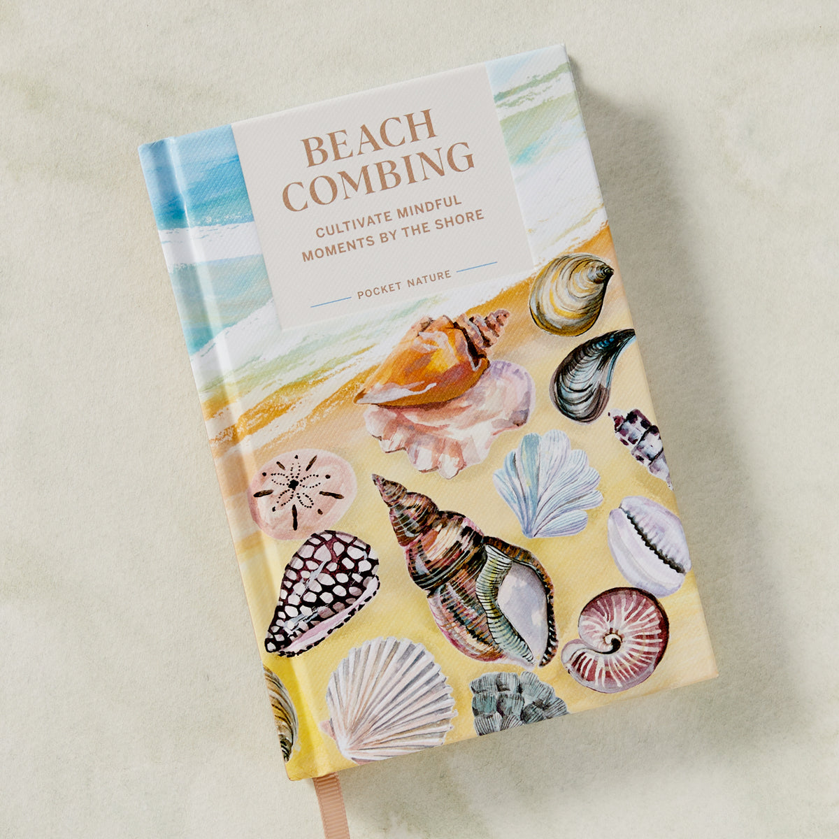 Beach Combing Book