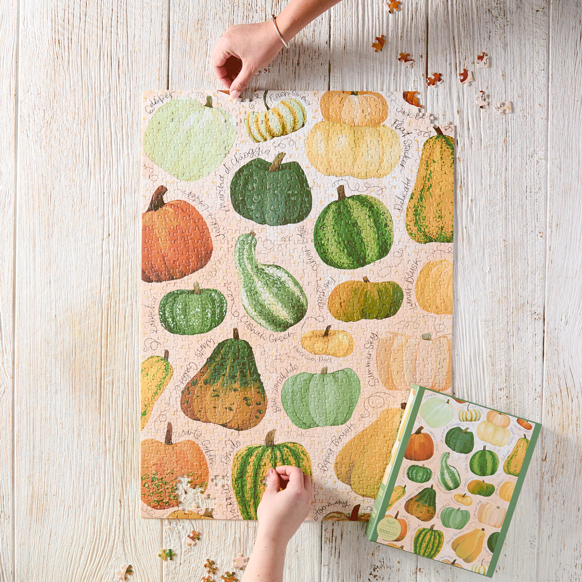 Pumpkins & Gourds Jigsaw Puzzle
