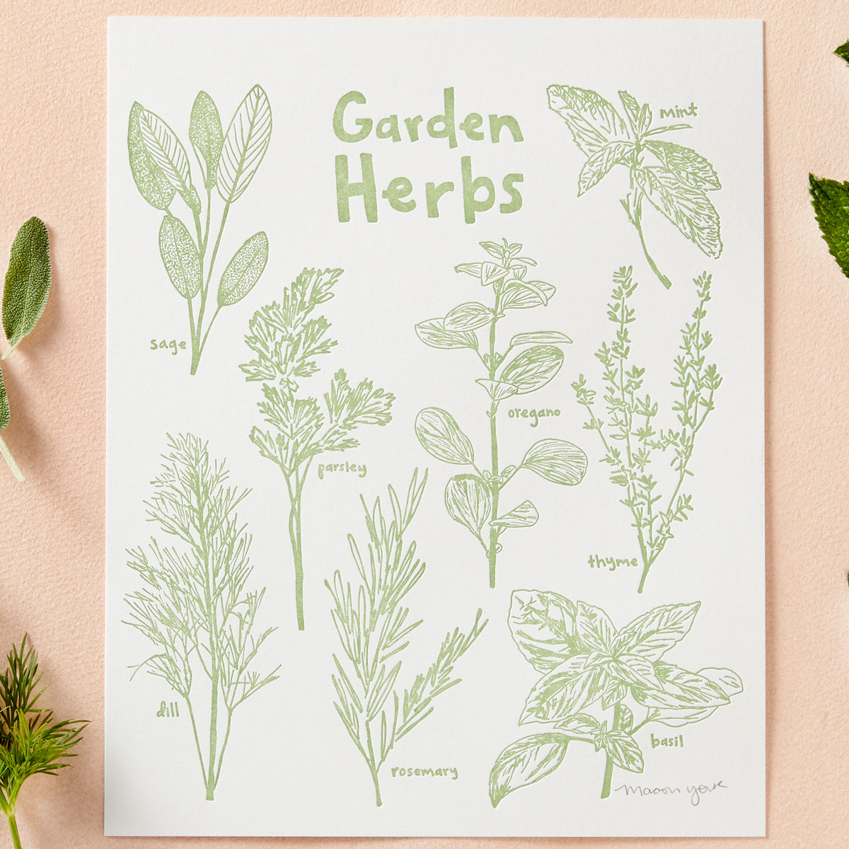 Garden Herbs Letterpress Print