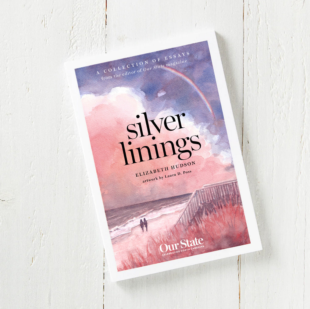 Silver Linings Book
